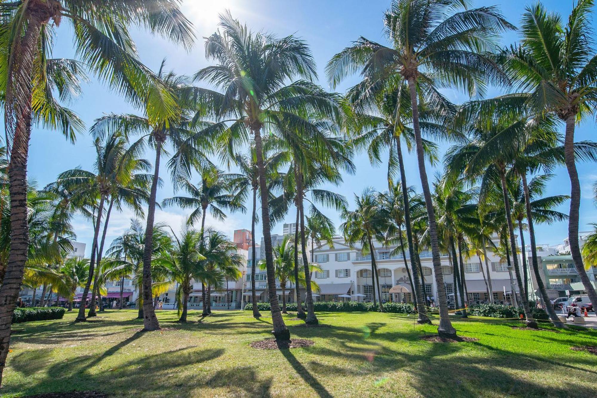 Chic Large Studio Apt Near Ocean Drive South Beach Miami Beach Exterior photo